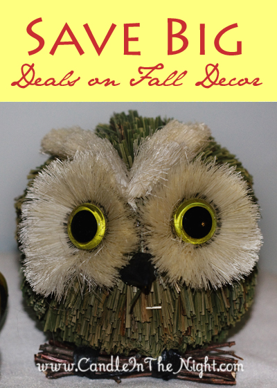 Save BIG on your fall decor!  And some fall inspiration too.  | candleinthenight.com