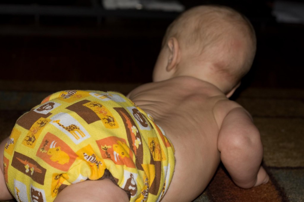 Cloth Diaper Review | candleinthenight.com