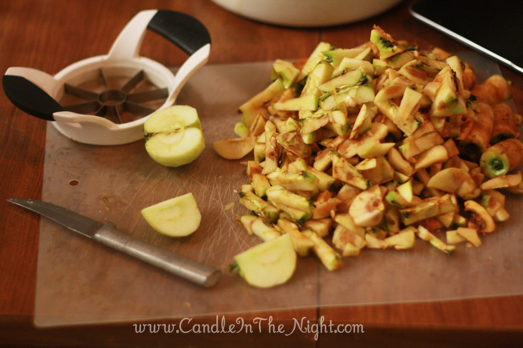 Delicious Homemade Apple Butter -- So simple!! | candleinthenight.com