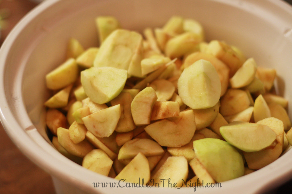 Delicious Homemade Apple Butter -- So simple!! | candleinthenight.com