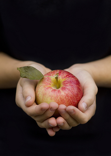 Apple Recipes and Activities: A Round Up for Fall! | candleinthenight.com