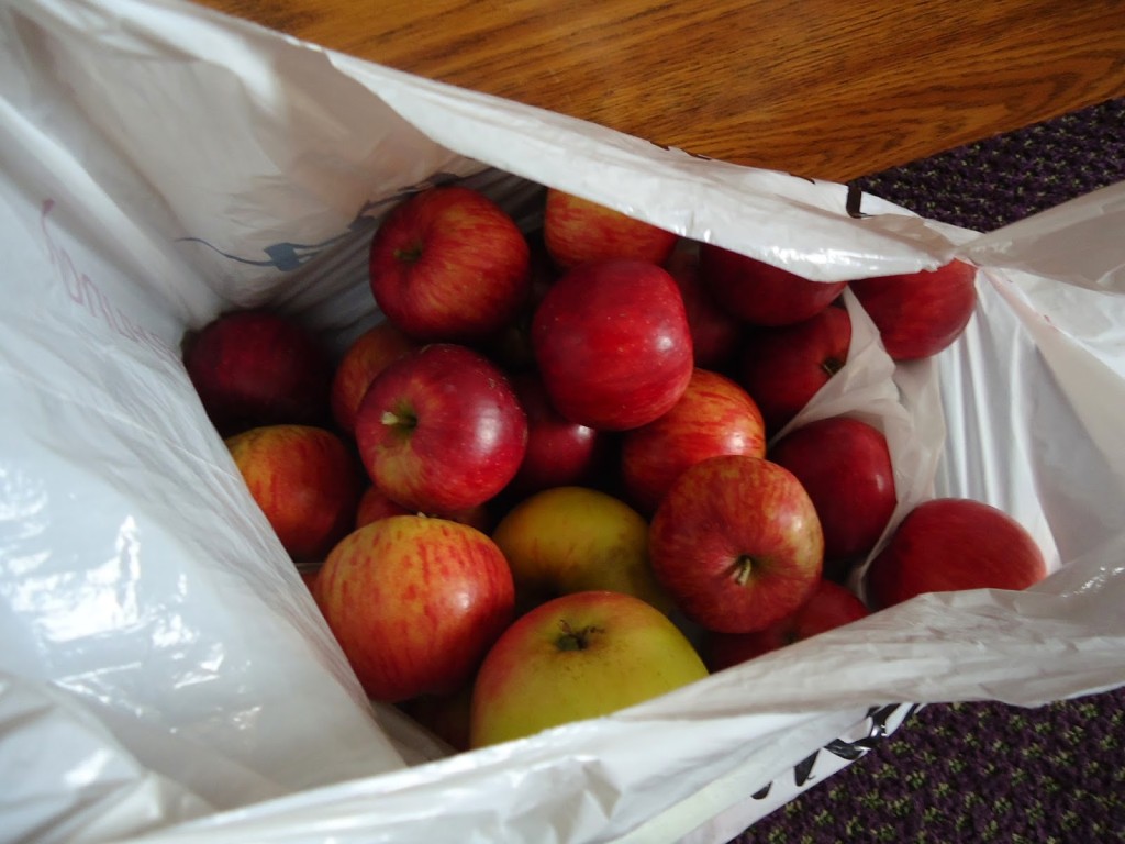 Apple Recipes and Activities: A Round Up for Fall! | candleinthenight.com