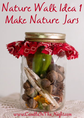 Fun ideas for taking nature walks and for displaying your findings! | candleinthenight.com