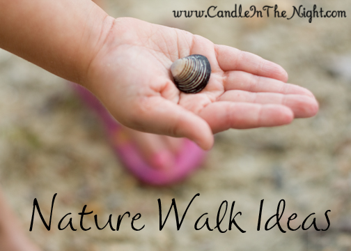 Fun ideas for taking nature walks and for displaying your findings! | candleinthenight.com