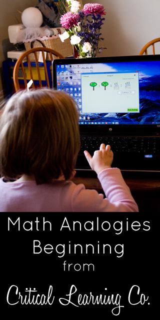 A review of Math Analogies Beginning from the Critical Learning Co.  