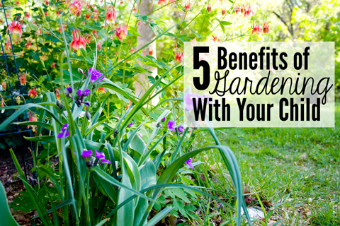 Do you enjoy gardening with your child? This post shares five benefits of doing just that!