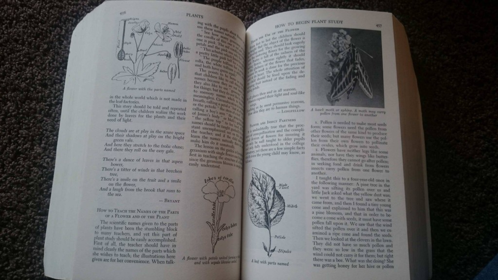 Nature Handbook used in Ambleside Online