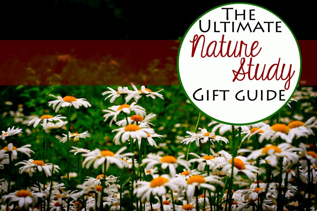 Butterfly nets, field guides, and flower seeds, oh my! The ultimate Nature Study Gift Guide is here!