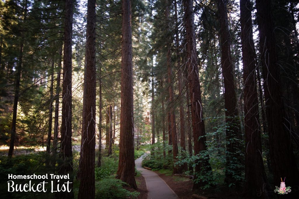 Homeschool Travel Bucket List: Elementary Years