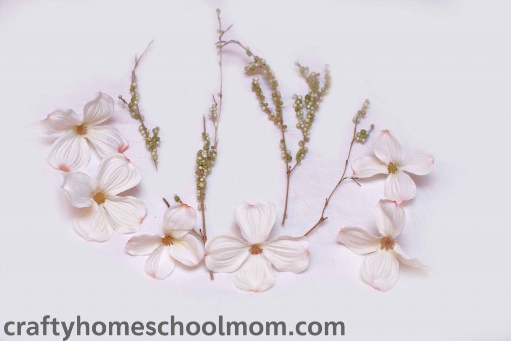 Trim the pieces you'll need from the dogwood stems and berries. 