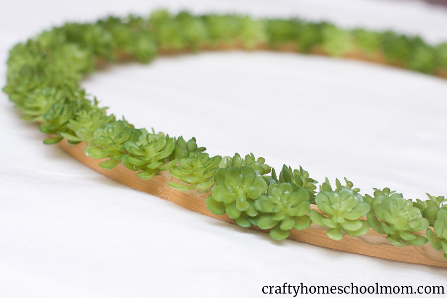 Succulent wreath tutorial